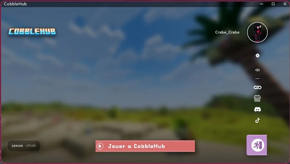 Interface du PokebagLauncher
